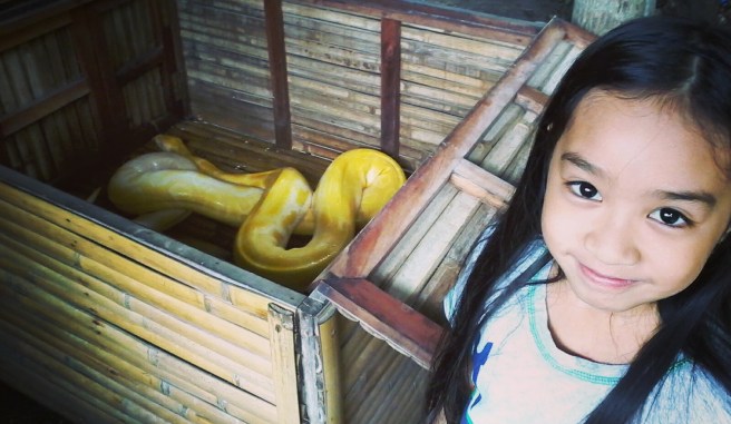 img_20161222_013107_184